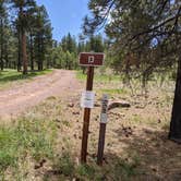 Review photo of Utah Forest Road 13 Dispersed Camping by Greg L., June 5, 2021