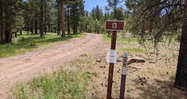 Utah Forest Road 13 Dispersed Camping