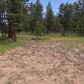 Review photo of Utah Forest Road 13 Dispersed Camping by Greg L., June 5, 2021