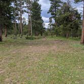 Review photo of Utah Forest Road 13 Dispersed Camping by Greg L., June 5, 2021