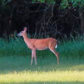 Review photo of Chief White Crane Recreation Area by Angela W., June 5, 2021