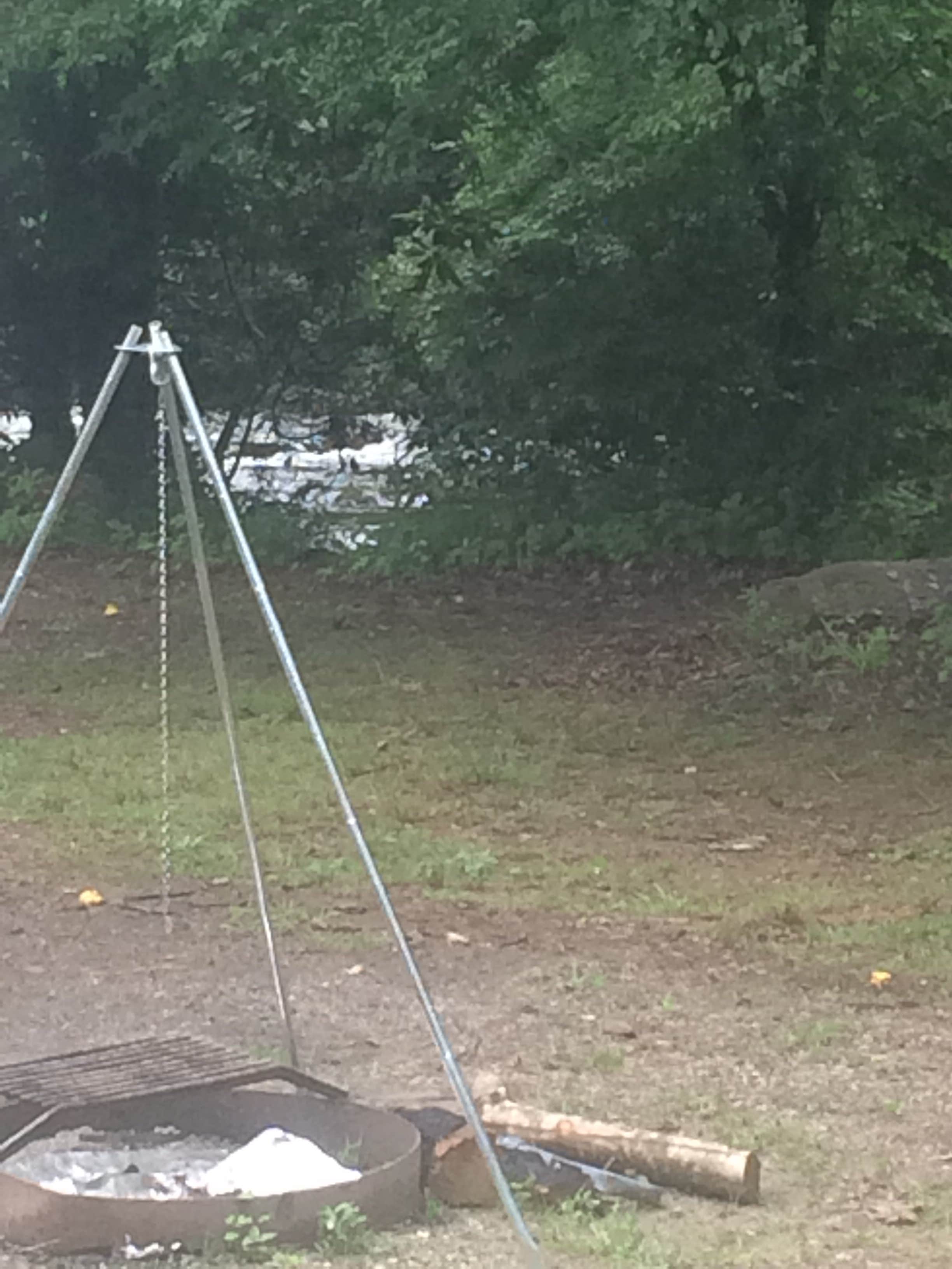 Camper submitted image from Deep Creek Tube Center & Campground - 3