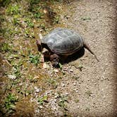 Review photo of Buffalo Rock State Park Campground by Jess , June 5, 2021