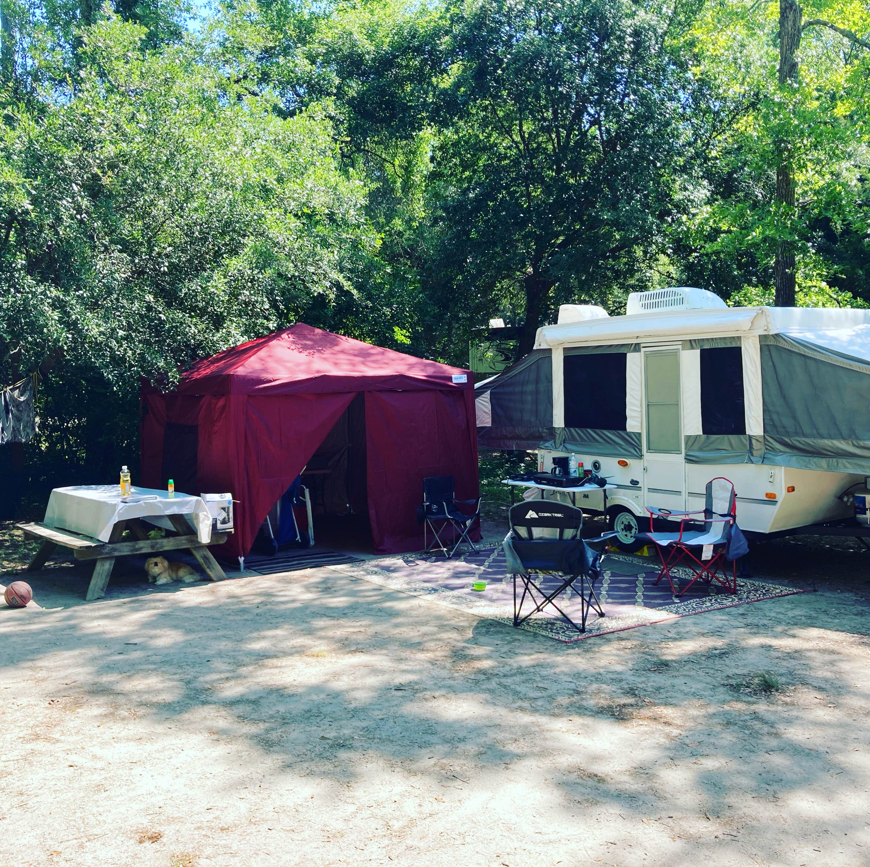 Gary P.'s photo at Myrtle Beach State Park Campground near Conway, SC