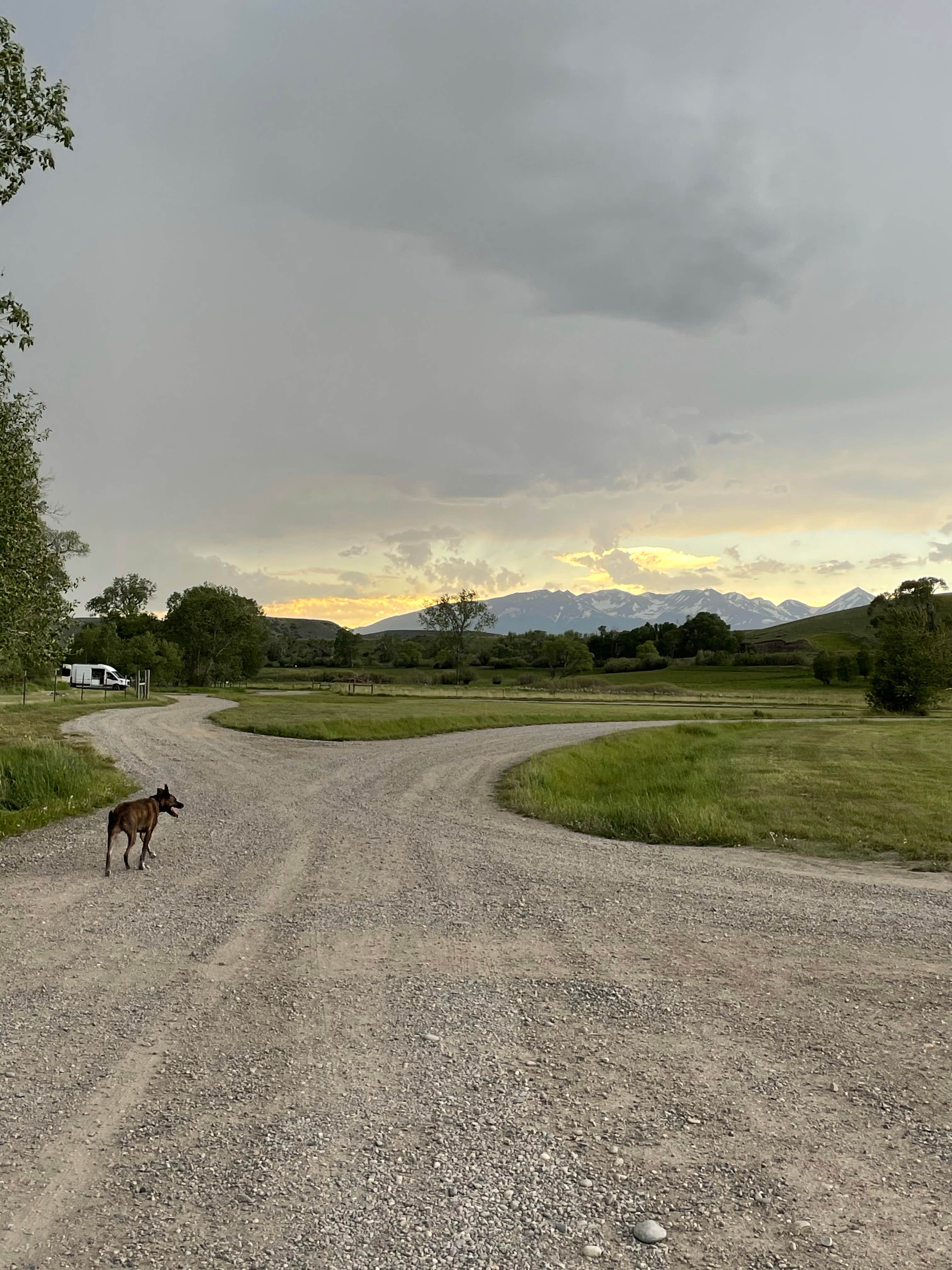 Abby M.'s photo of camping with pets at Otter Creek Fishing Access Site near Greycliff, MT