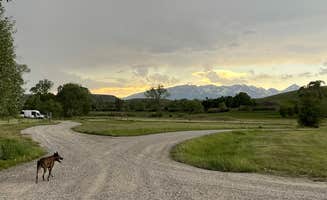 Abby M.'s photo of camping with pets at Otter Creek Fishing Access Site near Melville, MT