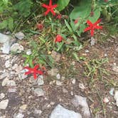 Review photo of Upper Improved Campground — Cheaha State Park by Johan S., May 30, 2021