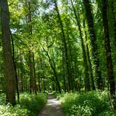 Review photo of Mammoth Cave Campground — Mammoth Cave National Park by Jess B., June 6, 2021