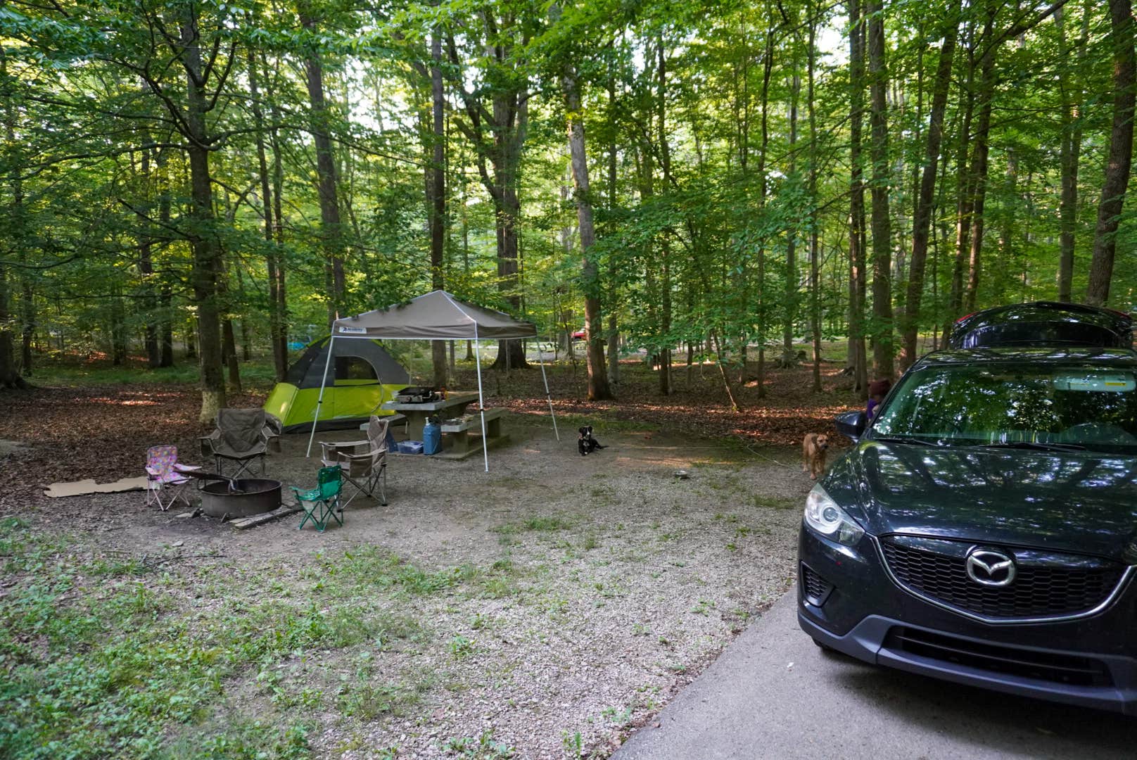 Jess B.'s photo at Mammoth Cave Campground — Mammoth Cave National Park near Mammoth Cave National Park