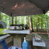 Review photo of Mammoth Cave Campground — Mammoth Cave National Park by Jess B., June 6, 2021