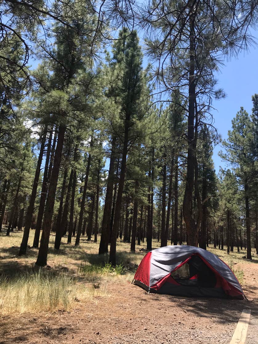 Kaibab National Forest Kaibab Lake Campground | The Dyrt