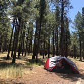 Review photo of Kaibab National Forest Kaibab Lake Campground by Kim N., June 6, 2021