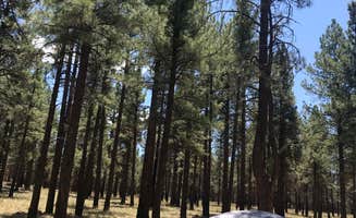 Kim N.'s photo at Kaibab National Forest Kaibab Lake Campground near Williams, AZ