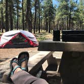Review photo of Kaibab National Forest Kaibab Lake Campground by Kim N., June 6, 2021