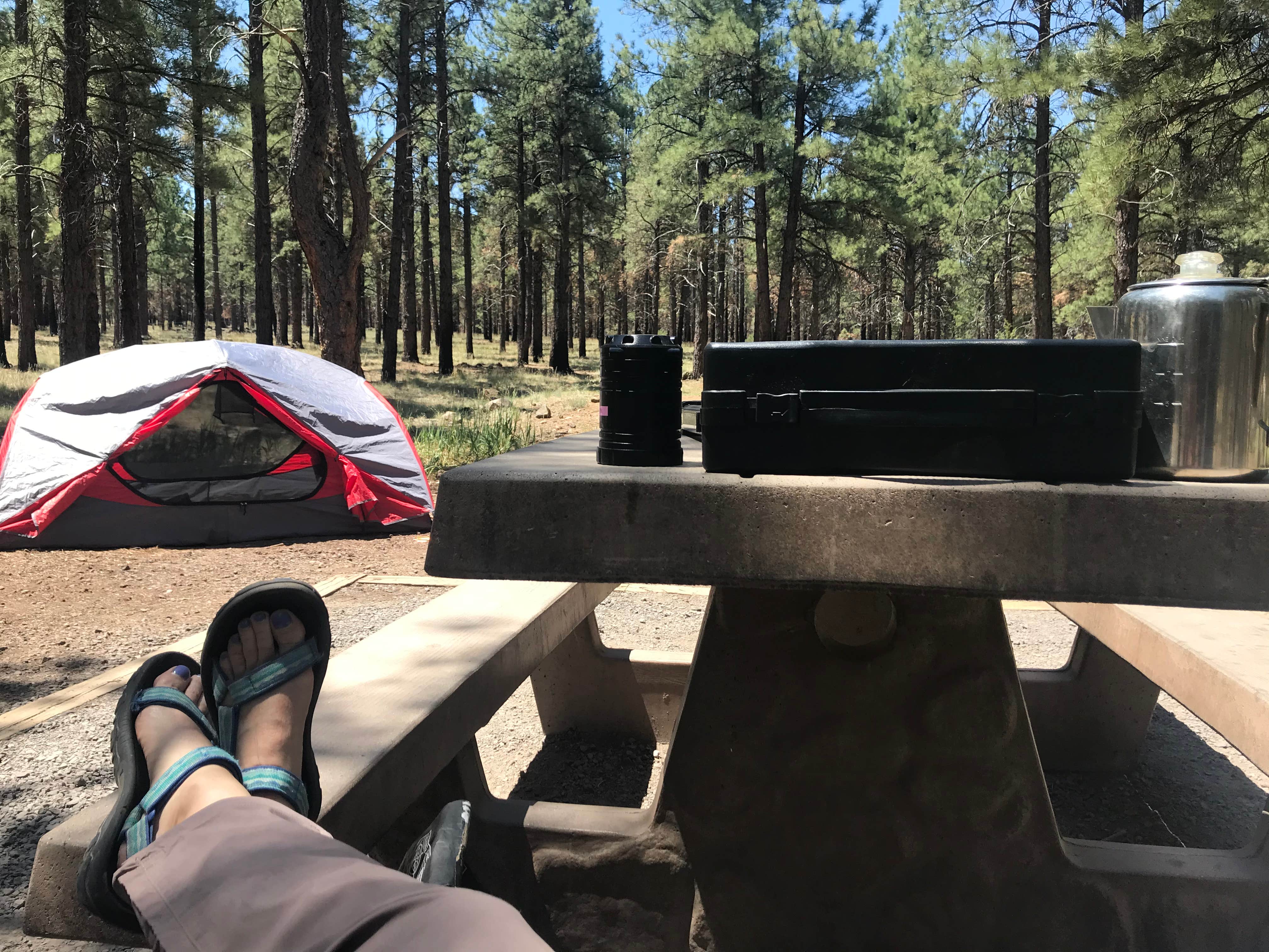 Camper submitted image from Kaibab National Forest Kaibab Lake Campground - 4