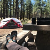 Review photo of Kaibab National Forest Kaibab Lake Campground by Kim N., June 6, 2021
