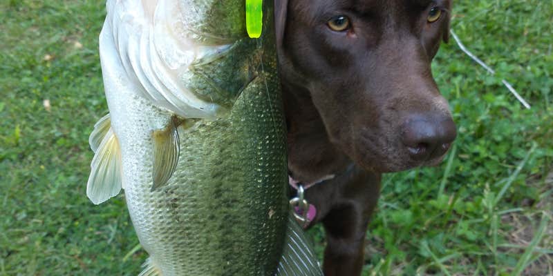 Camper submitted image from Camp Timber Lake