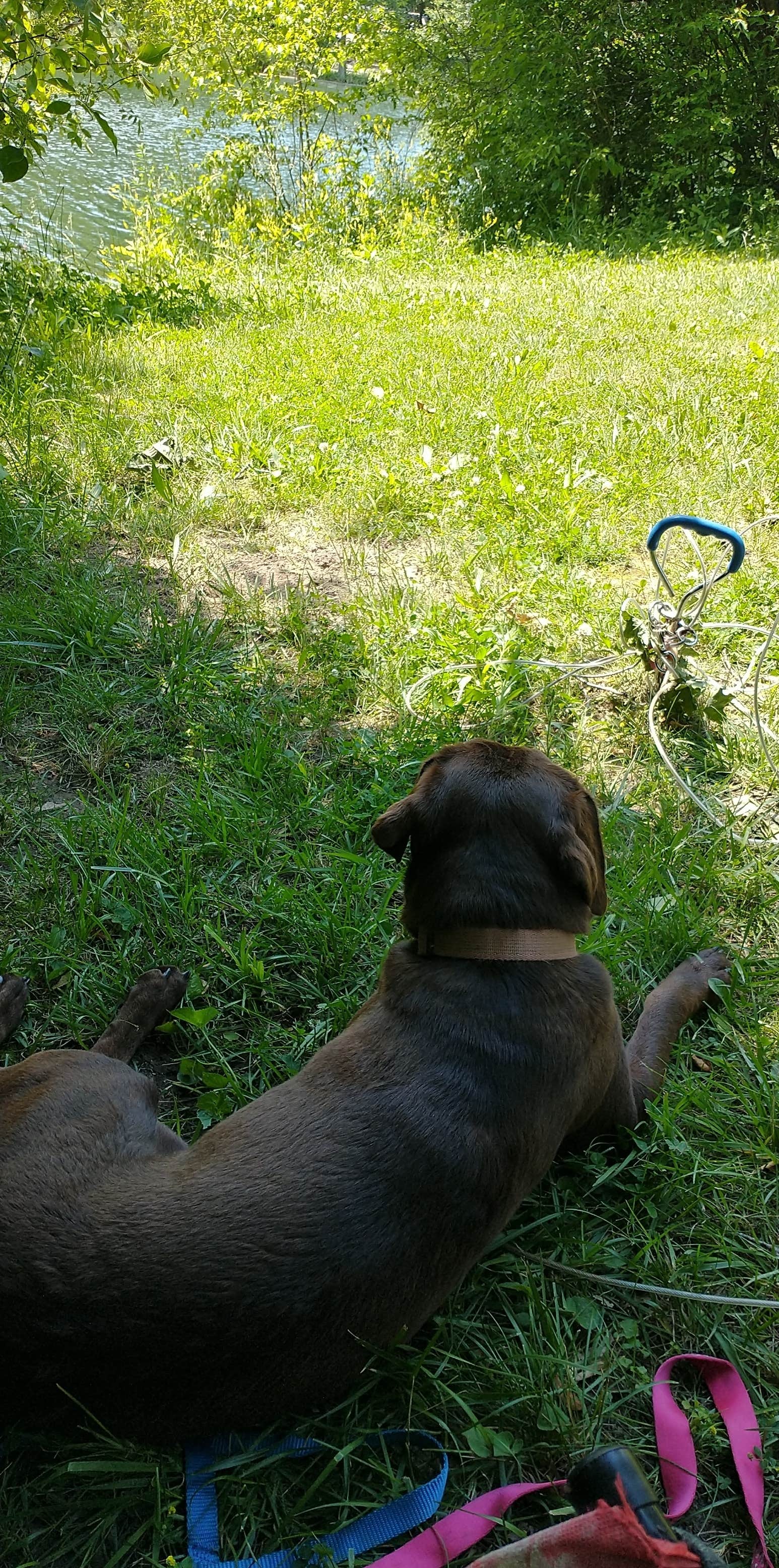 Camper-submitted photo at Camp Timber Lake near Columbia City, IN