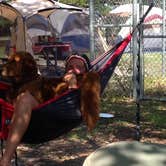Review photo of Fort Pickens Campground — Gulf Islands National Seashore by Molly M., July 15, 2016