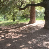 Review photo of Paso Picacho Campground — Cuyamaca Rancho State Park by Anthony D., June 6, 2021