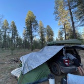 Review photo of Pumphouse Wash (FR 237) Dispersed Camping Area by erin T., June 6, 2021