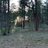 Review photo of Pumphouse Wash (FR 237) Dispersed Camping Area by erin T., June 6, 2021