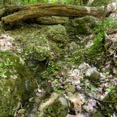 Review photo of Blue Mound State Park Campground by Susan S., June 6, 2021