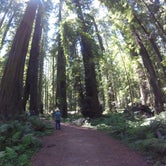 Review photo of Albee Creek Camp — Humboldt Redwoods State Park by Tony G., June 7, 2018