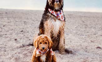 Kelsey C.'s photo of camping with pets at Stillwater (Colorado) near Rocky Mountain National Park