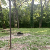 Review photo of Tuttle Creek State Park Campground by Curt , June 6, 2021