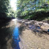 Review photo of Albee Creek Campground — Humboldt Redwoods State Park by Tony G., June 7, 2018