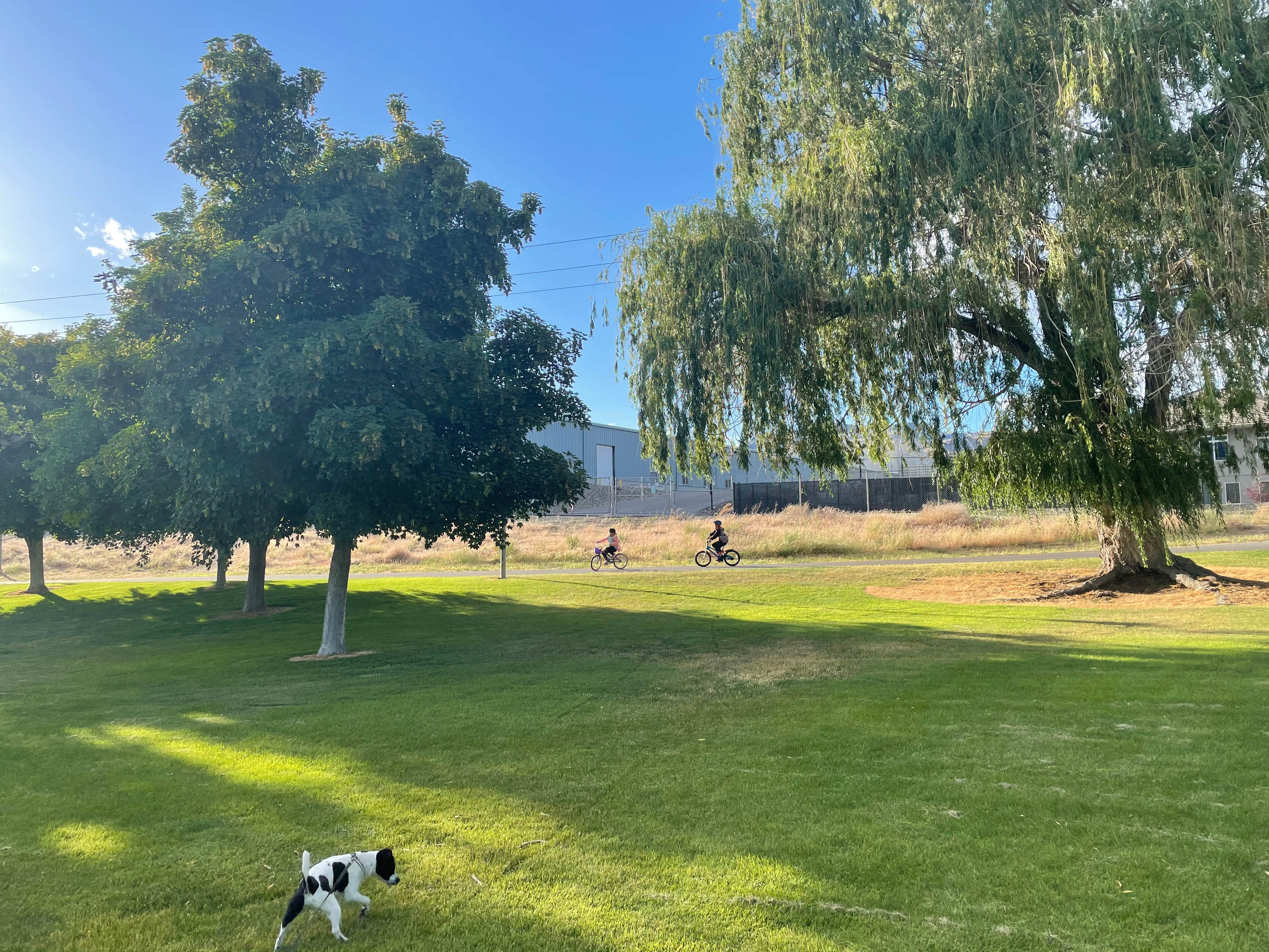 Zheng L.'s photo of camping with pets at Wenatchee Confluence State Park Campground near Peshastin, WA