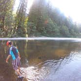 Review photo of Albee Creek Campground — Humboldt Redwoods State Park by Tony G., June 7, 2018