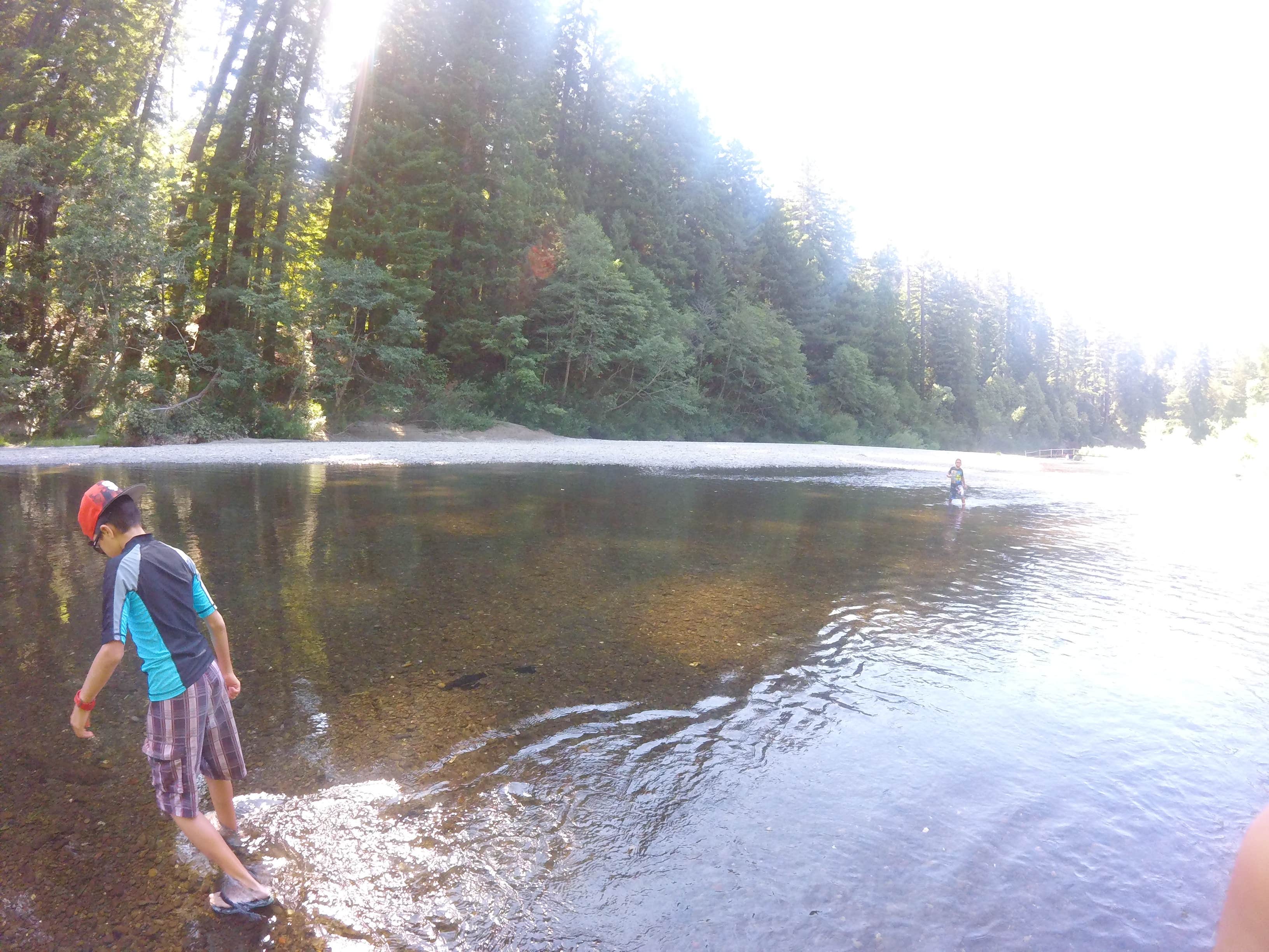 Camper submitted image from Albee Creek Campground — Humboldt Redwoods State Park - 3