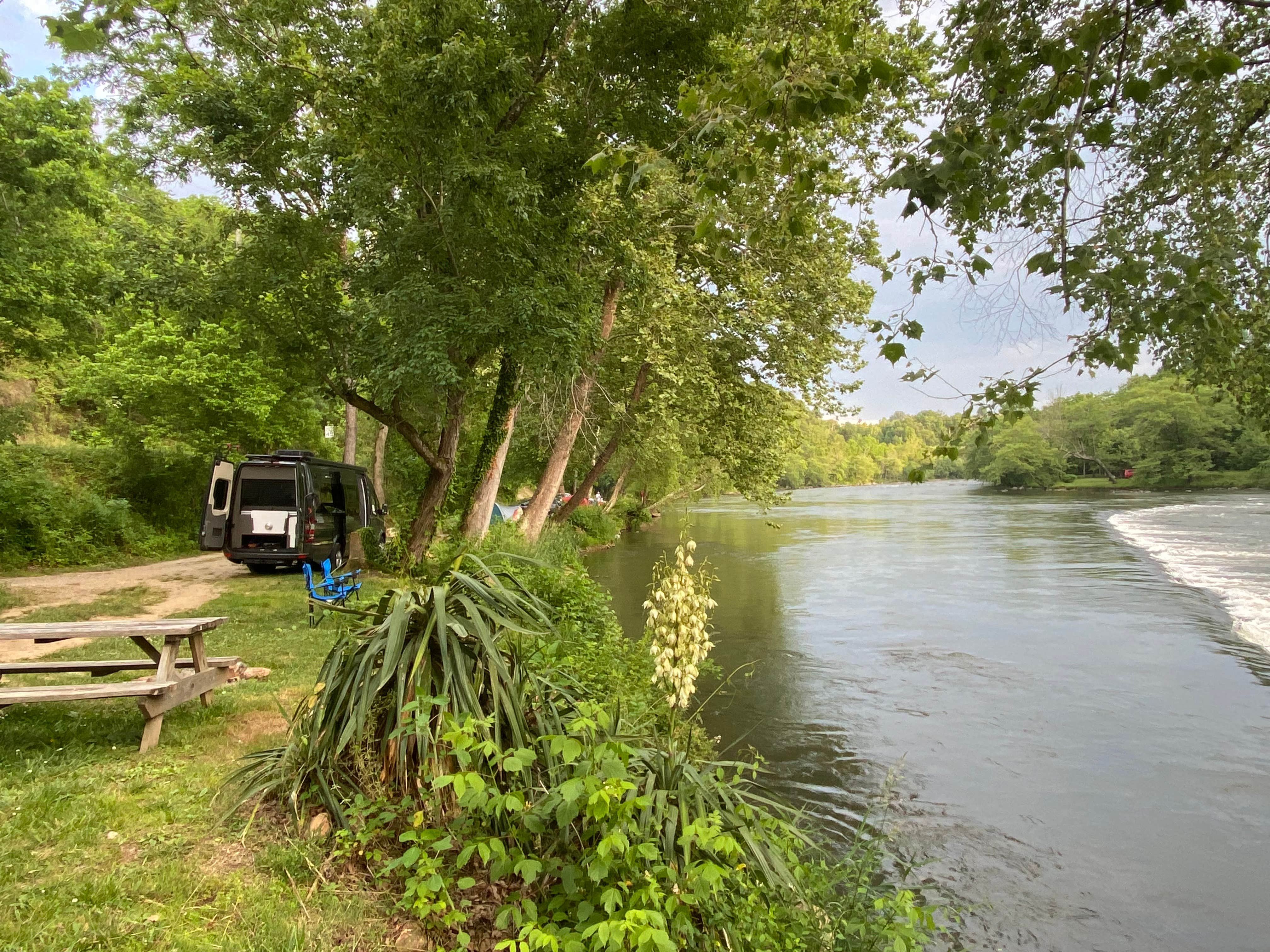 Camp Driftwood The Dyrt