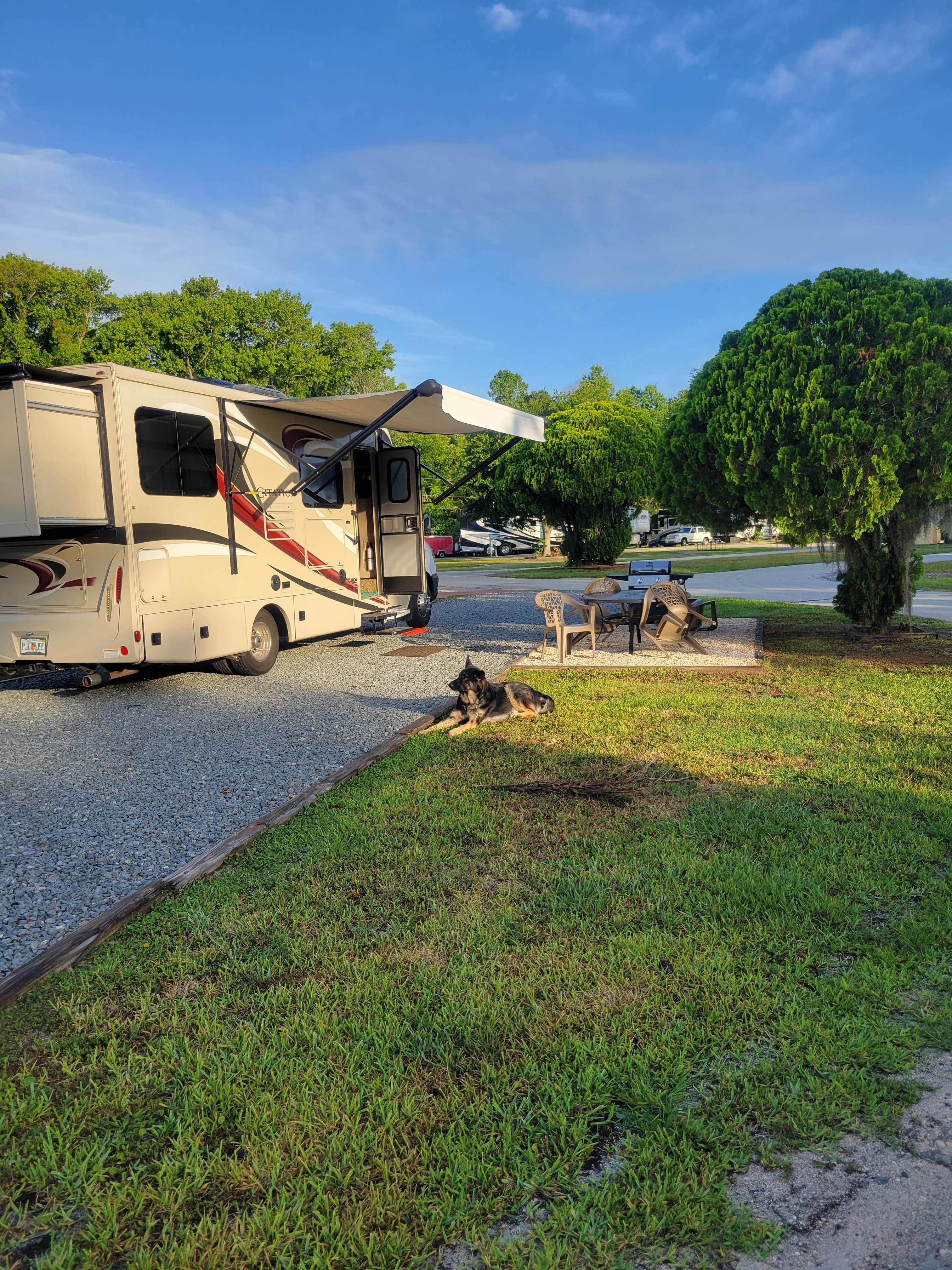 Tracy J.'s photo of camping with pets at Daytona Speedway RV near Ormond Beach, FL
