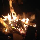 Review photo of Fort Pickens Campground — Gulf Islands National Seashore by Molly M., July 15, 2016