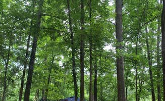 Genie C.'s photo at Gunter Hill near Marbury, AL