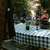 Review photo of Hidden Springs Campground — Humboldt Redwoods State Park by Tony G., June 7, 2018