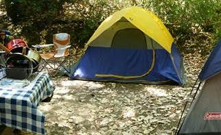Tony G.'s photo at Hidden Springs Campground — Humboldt Redwoods State Park near Myers Flat, CA