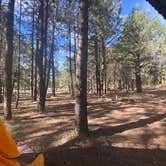 Review photo of Jacob Lake Campground - Kaibab National Forest by Kelly Anne  M., June 6, 2021