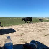 Review photo of Pawnee Buttes - Dispersed Camping by Scott B., June 6, 2021