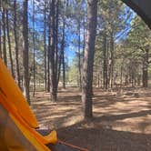 Review photo of Jacob Lake Campground - Kaibab National Forest by Kelly Anne  M., June 6, 2021