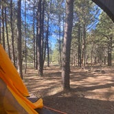 Review photo of Jacob Lake Campground - Kaibab National Forest by Kelly Anne  M., June 6, 2021