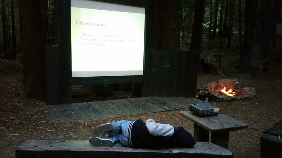 Camper submitted image from Hidden Springs Campground — Humboldt Redwoods State Park - 4