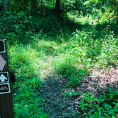 Review photo of Hoosier National Forest Goldenrod Loop Campground by Shelly S., June 7, 2018