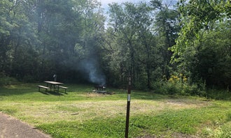 Camping near Cougar Campground: Whitetail Campground — Illini State Park, Marseilles, Illinois