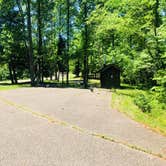 Review photo of Hoosier National Forest Goldenrod Loop Campground by Shelly S., June 7, 2018