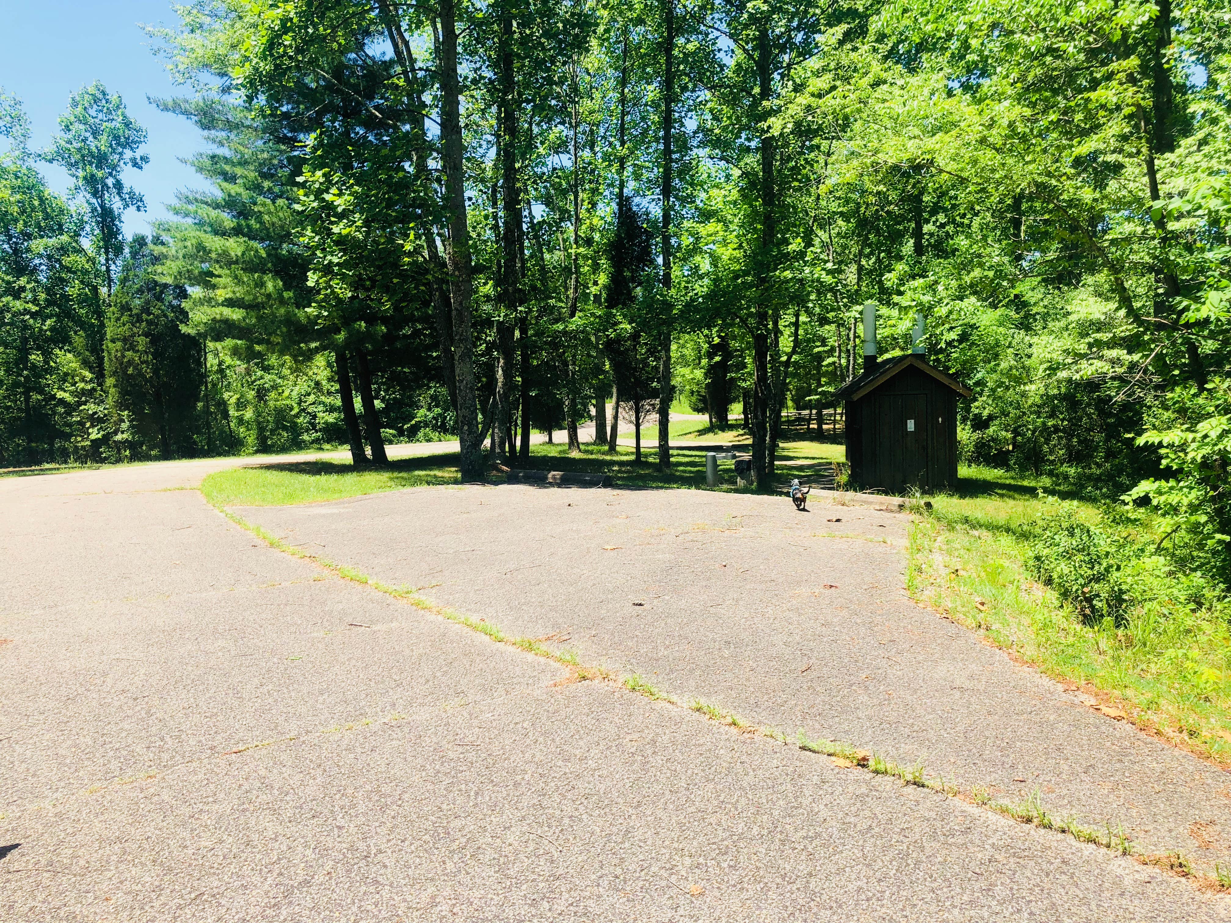 Camper submitted image from Hoosier National Forest Goldenrod Loop Campground - 5