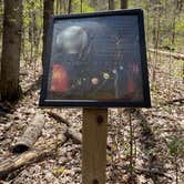 Review photo of Pike Lake Campground — Kettle Moraine State Forest-Pike Lake Unit by Susan S., June 6, 2021